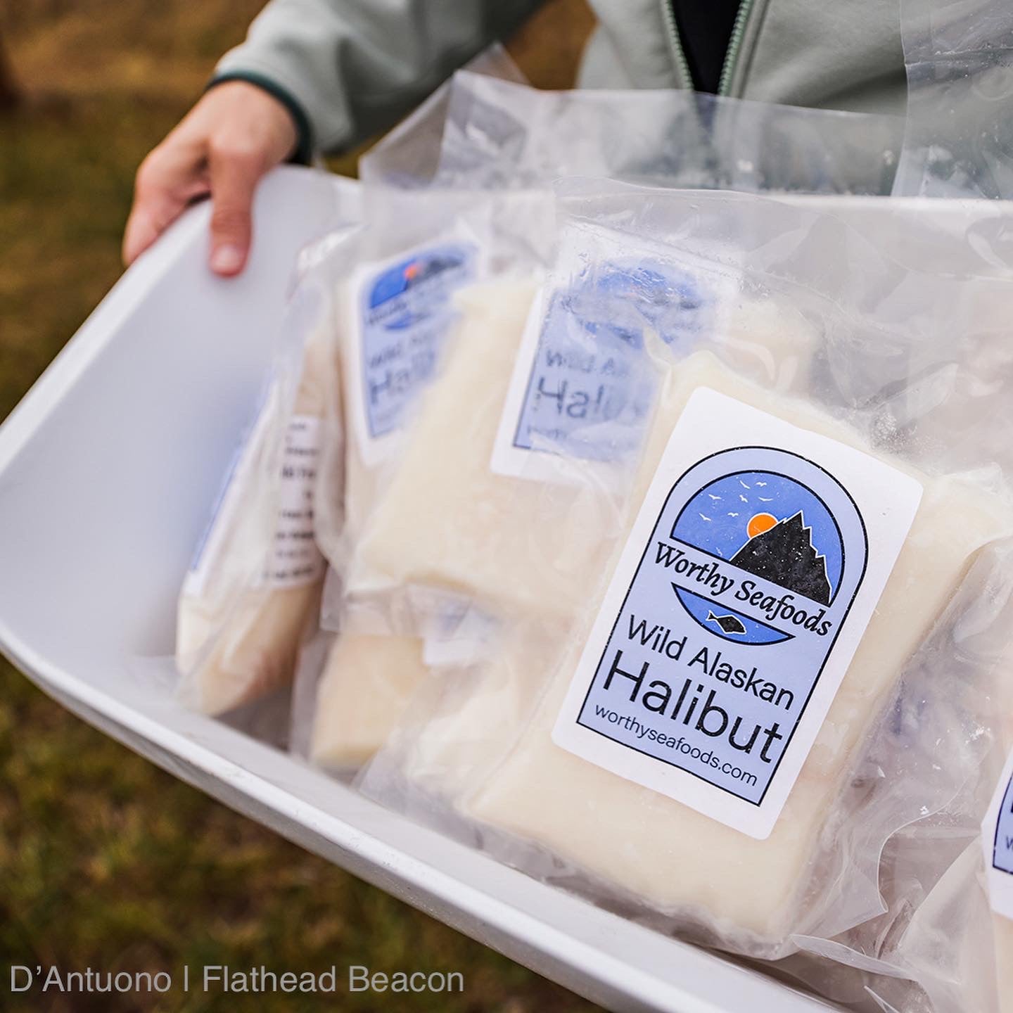 10 Pounds Wild Alaska Halibut: 15-17 ounce portions